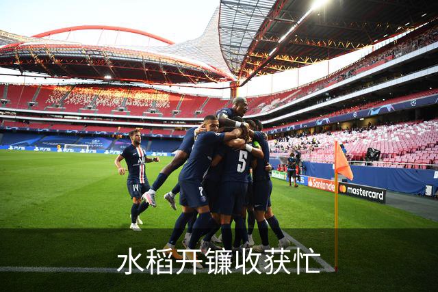 水稻开镰收获忙