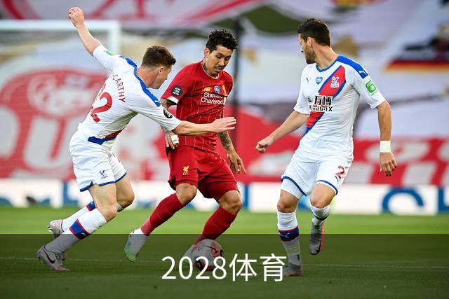 2028体育公司简介